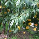 갈촌농장 이미지