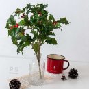 바인커머스 이미지