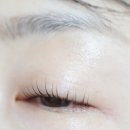 넬래쉬 | 잠실 속눈썹펌 잘하는 곳 꼼꼼한 맞춤펌 넬래쉬 방문 후기