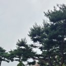 안성미리내실버타운 이미지