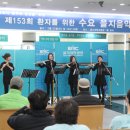 플로아