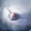 Re: 보잉이 F-47에 이어 F/A-XX도 제대로 만들 능력이 되는지가 관건 이미지