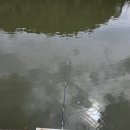 한터낚시터 | 경기도 광주 한터낚시터 후기 : 9세 아이와 즐긴 민물낚시 가족 나들이