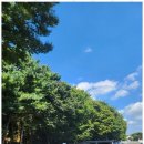 행정사사무소 이유 이미지