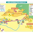 해바라기-청춘(1) 이미지