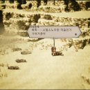 프림로제