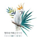 버드리김포 이미지