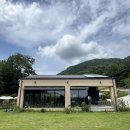 논산애견 | 애견동반카페 무드림 베이커리카페 내돈내산 후기/ 금산 무드림카페 후기/ 논산 애견동반 데이트코스추천
