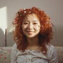 스텔라(Stella) 이미지