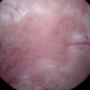 정한수비뇨기과의원 이미지