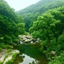 웅포관광지 | 한국의 웅포관광지 방문 후기: 경이로운 자연 속 숨쉬기