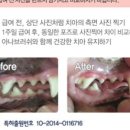 메디웍스 이미지