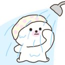 벨리즈프로헤어