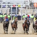 보니하우스 이미지