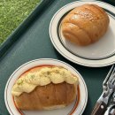 하나농장B | 충북 진천 딸기체험 농장 추천, 삼촌농장 예약 방문시 꿀팁