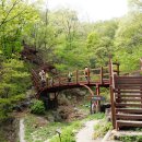 솔바람교 옹달샘 이미지