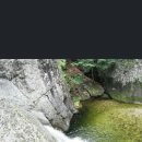 물소리새소리 이미지