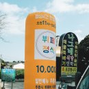 나그네쉼터어시장수산식당 | 제주 서귀포 맛집 나그네쉼터 어시장 수산식당