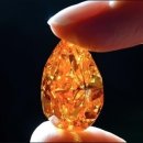 헤어보브 이미지