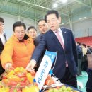 화순 하니움문화스포츠센터 체육관 이미지