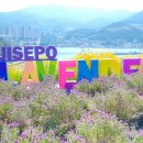 지세포1길 이미지