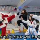 스포렉스 태권도 이미지