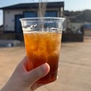 N&A로열독 | 태안 안면도 애견동반 숙소 - 개별 운동장과 수영장이 있는 <홀리독 애견 풀빌라> 홀리D 내돈내산 후기