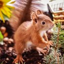 한국폴리텍 특성화대학 항공캠퍼스 이미지