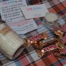 식빵코끼리