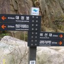 서부소공원 이미지