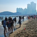 해운대해수욕장 이미지