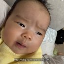 생후 9주차 육아일기 | 2개월 접종 헥사심 접종열 후기 | 모유수유 아기 새벽수유 줄이기