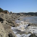 영종도 왕산해수욕장 휴일오후 낚시 이미지