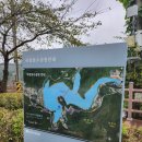 세븐일레븐 파주마장호수점 | 주말나들이 파주 마장호수 출렁다리 산책 후기(feat 주차정보)