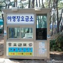 대천해수욕장 야영장 이미지