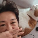 나주IC 이미지