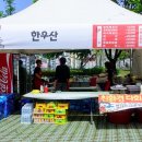 비에이치씨의령점