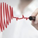 리바디짐 이미지