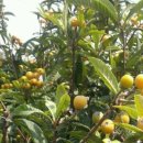 무랑민박 이미지