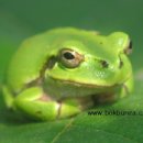 둔내농장 이미지