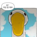 노란부엉이 Daum카페