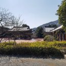 내원정사유치원 이미지