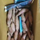 효정농장 이미지