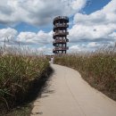 시흥 갯골생태공원 이미지