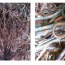 씨씨알(주) 이미지