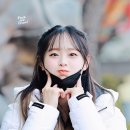 꽃지사랑 이미지
