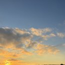 소가 행복한 농장 이미지