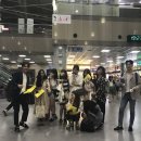 표진박 | 여보남과 함께 떠나는 세부 자유여행<일정 및 후기>