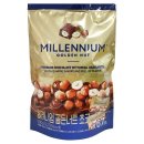 밀레니엄 이미지