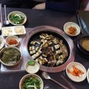 고래등바다장어 이미지